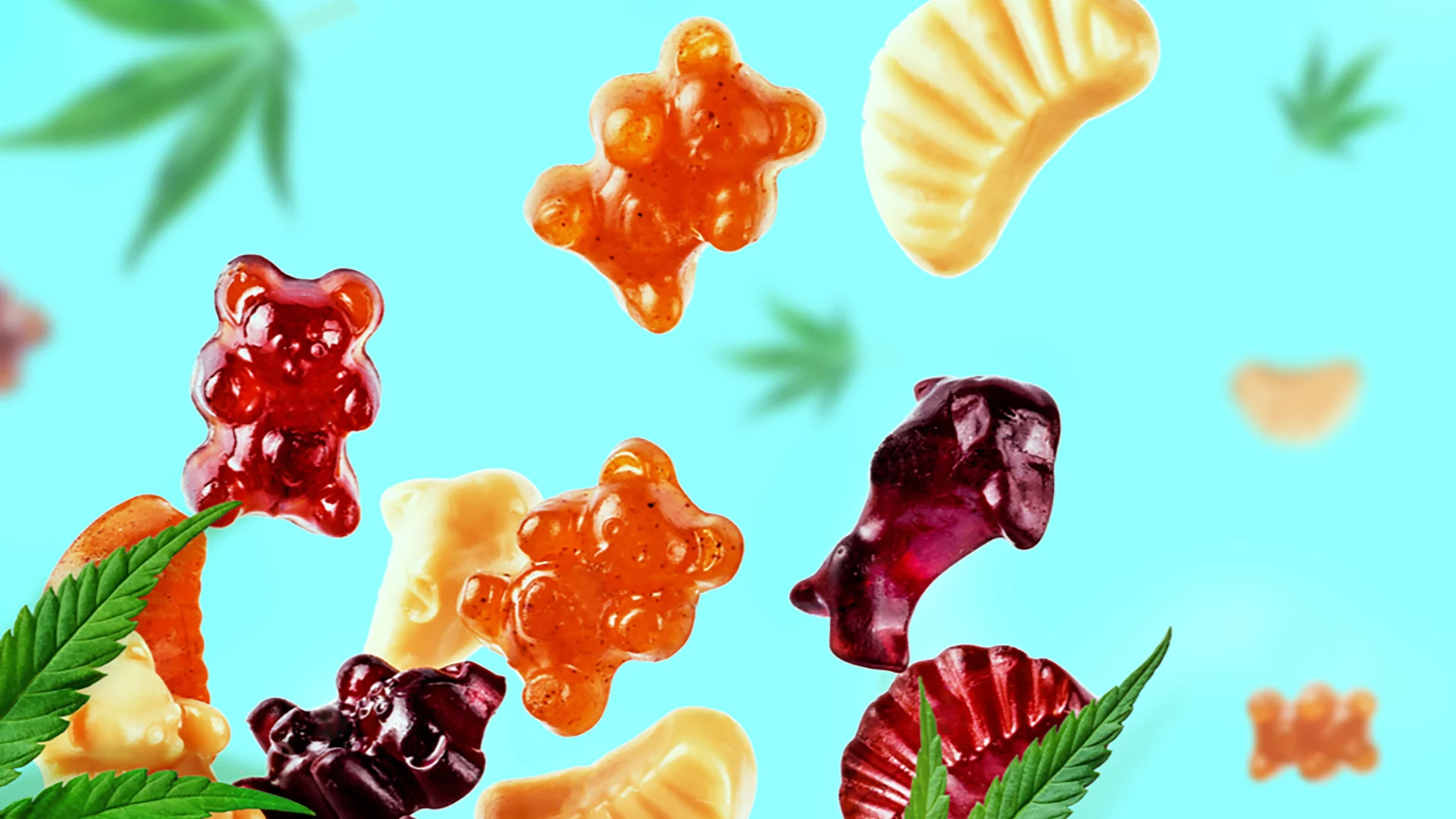 best delta 8 gummy brands